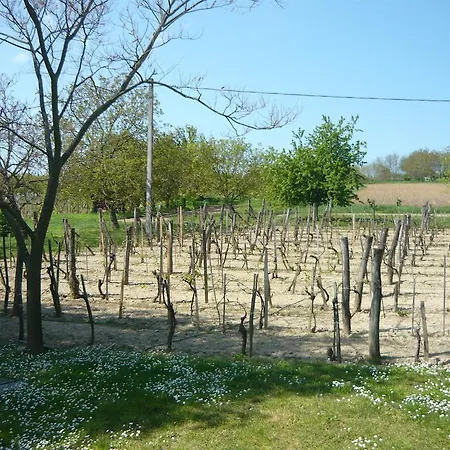 Kaman Pince Alsópáhok