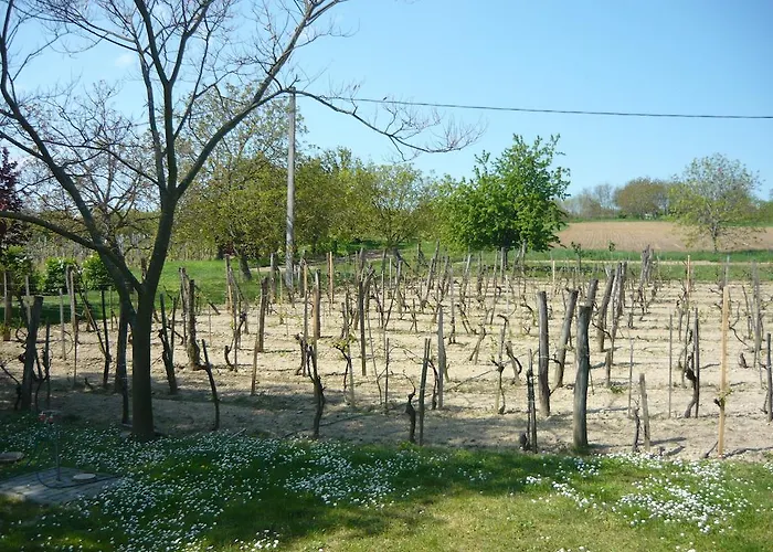 Kaman Pince Alsópáhok